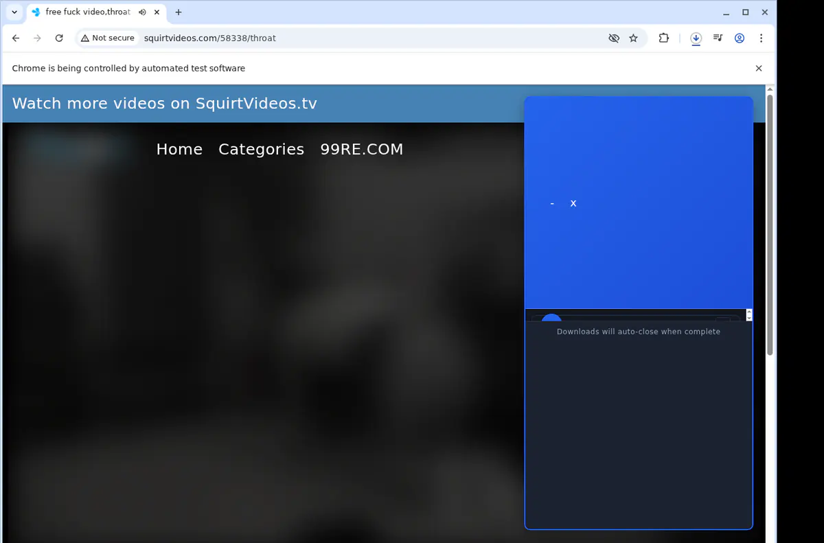 Squirtvideos Video Downloader screenshot 2
